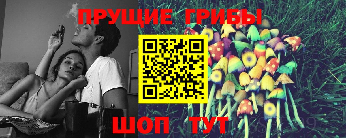 Псилоцибиновые грибы Psilocybe  Вход с VPN  Чусовой 