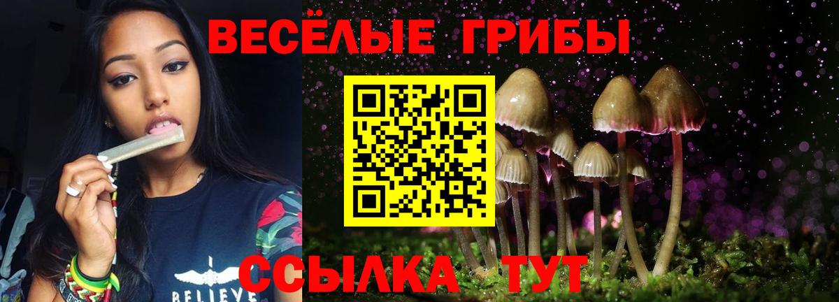 Галлюциногенные грибы Cubensis Чусовой